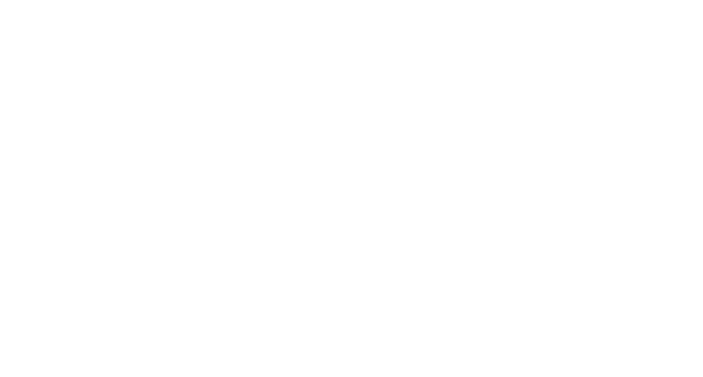 Youth Futures Network